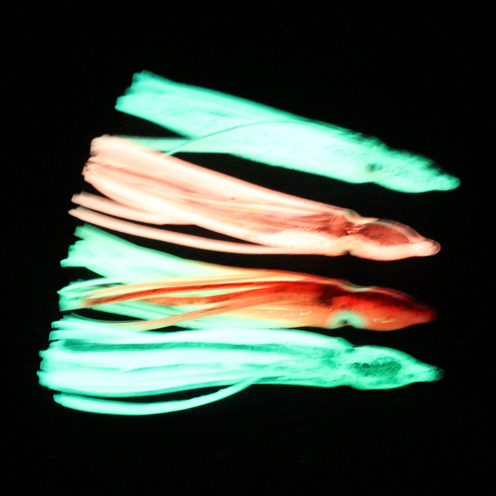 10 pcs soft light octopus squi - огляд і ціна Fishing Lure Buzzbait