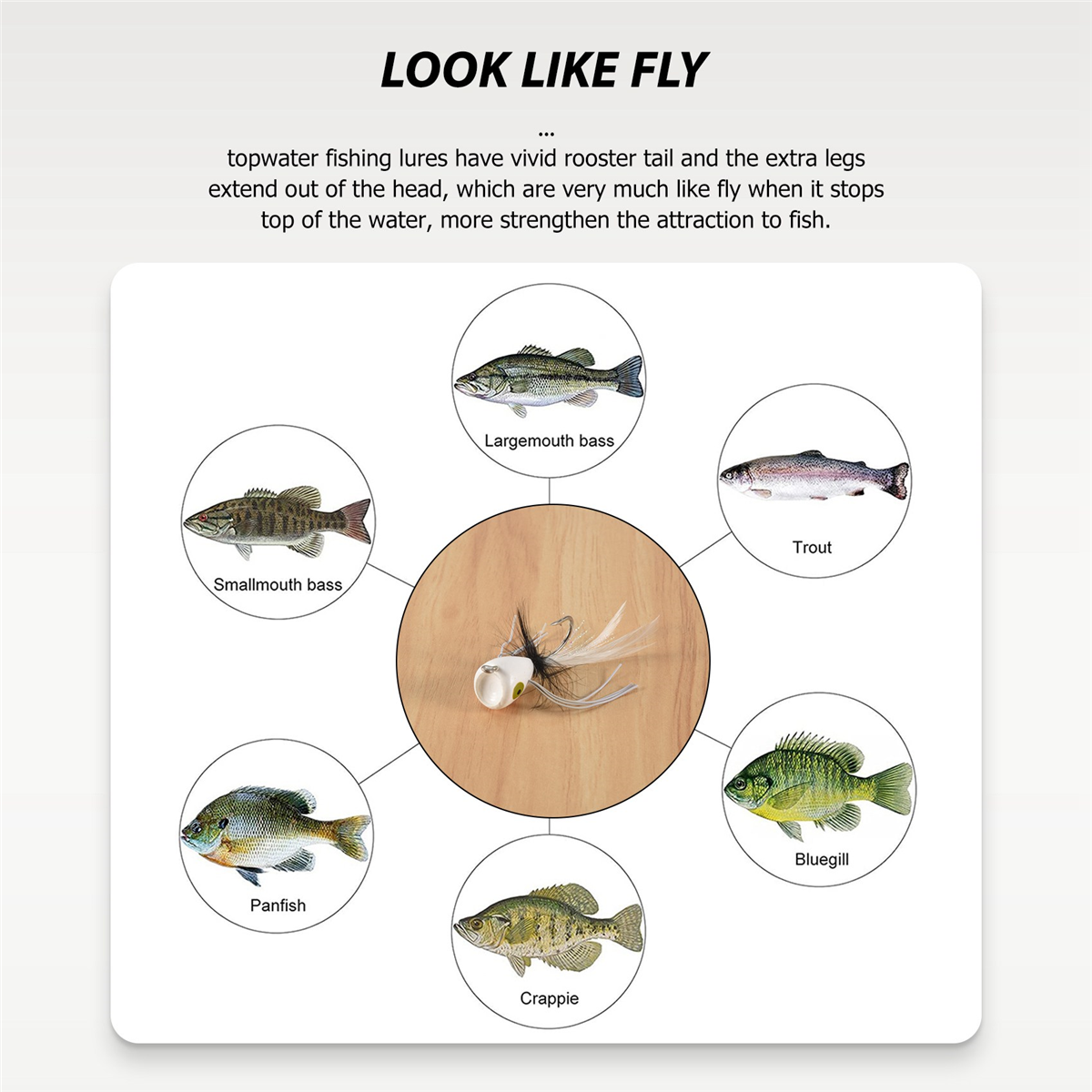 10PCS Fly Fishing Poppers,Topw - огляд і ціна Fishing Lure Topwater